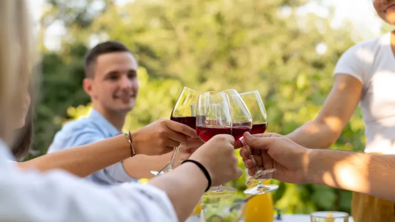 Guía para principiantes sobre la compra y cata de vinos: Qué buscar, cómo catar y maridar